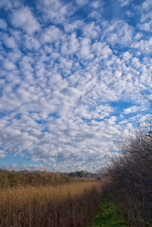 Le nuvole su Ostia: quando il cielo racconta il tempo